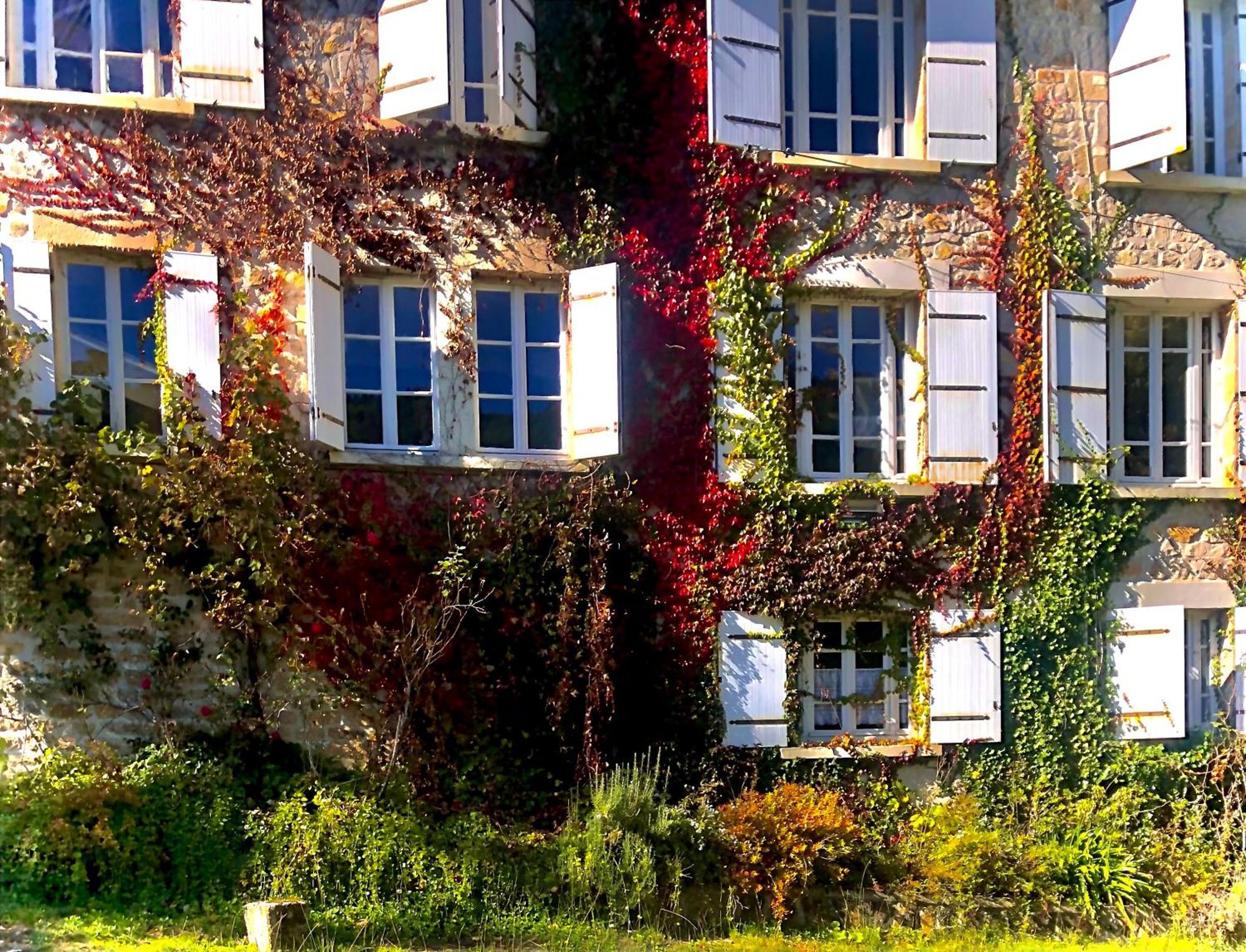 Le Chambon, Chambres D'Hotes Saint-Merd-de-Lapleau Екстер'єр фото
